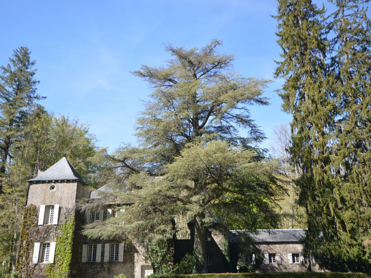 Maison à vendre - 941m2 - Brassac (81260)