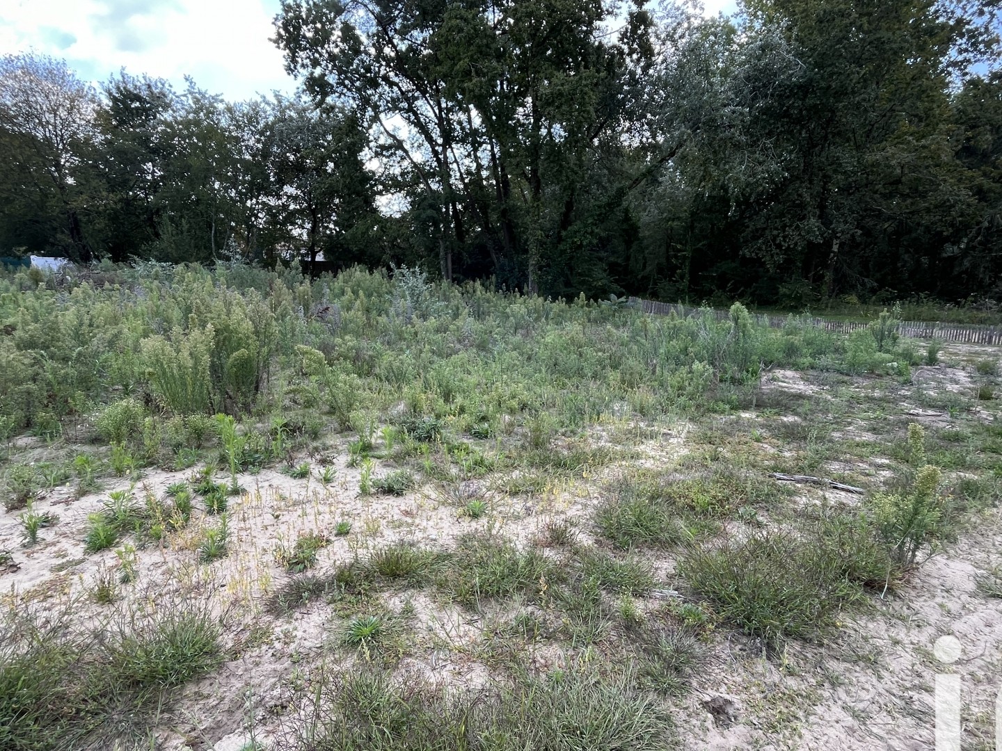 Terrain 557 m²