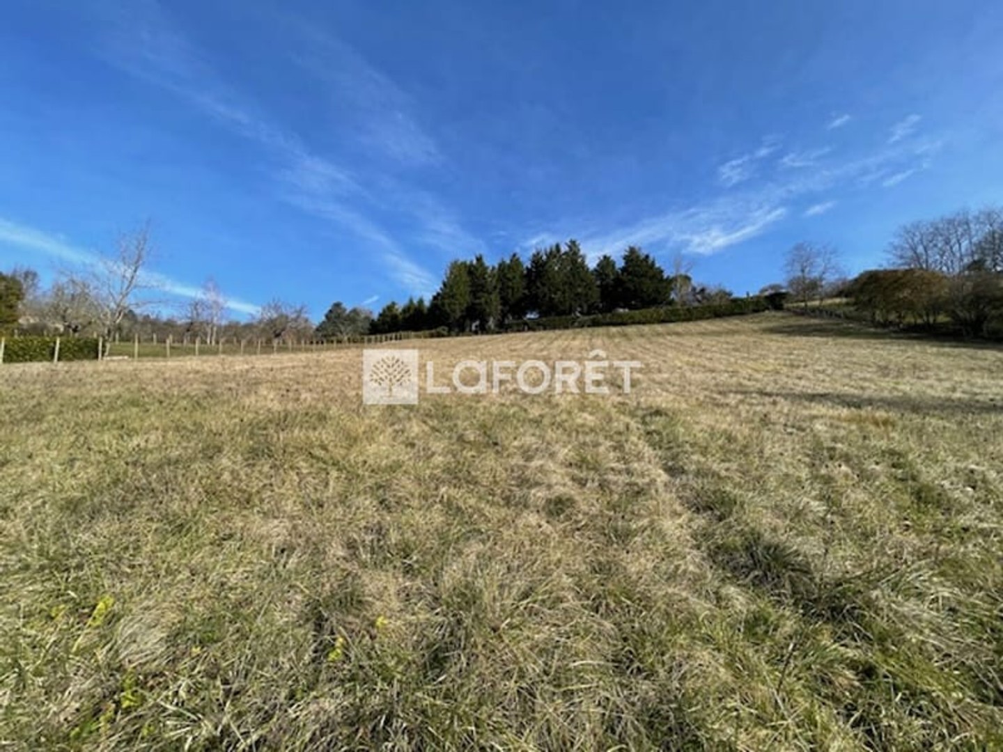 Terrain à vendre - 2369m2 - Montesquieu-Volve... (31310)