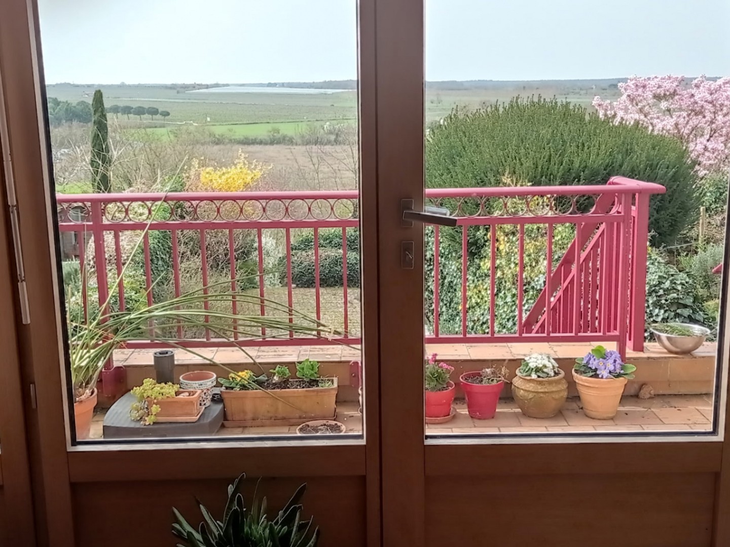 Maison à vendre - 8 pièces - 197m2 - Brissac Loire Aub... (49320)