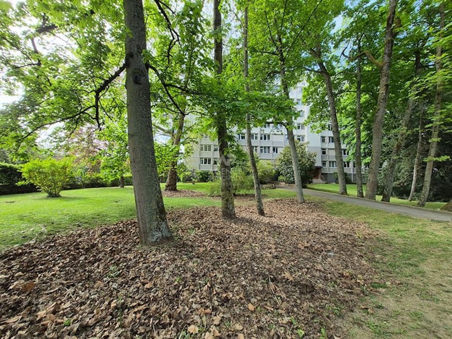 Appartement 4 pièces 75 m²