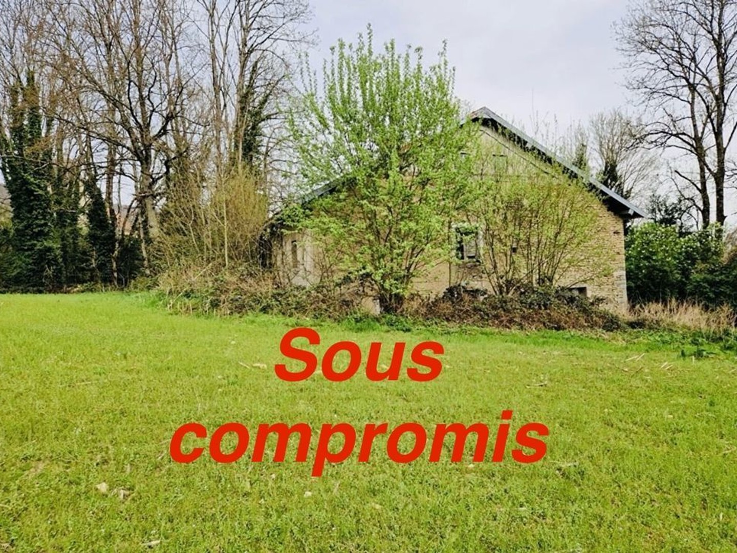 Maison à vendre - 5 pièces - 300m2 - Sancey (25430)