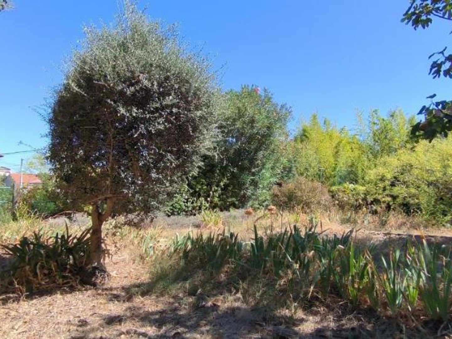Maison à vendre - 5 pièces - 114m2 - Montpellier (34000)