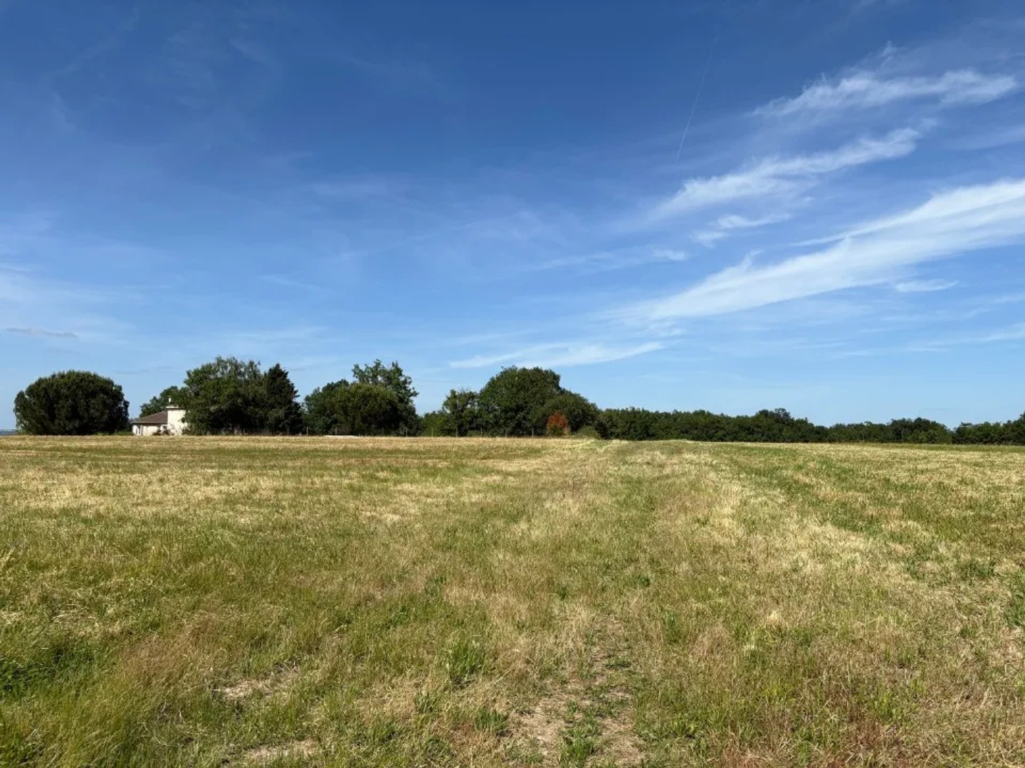 Terrain à vendre - 955m2 - Vacquiers (31340)