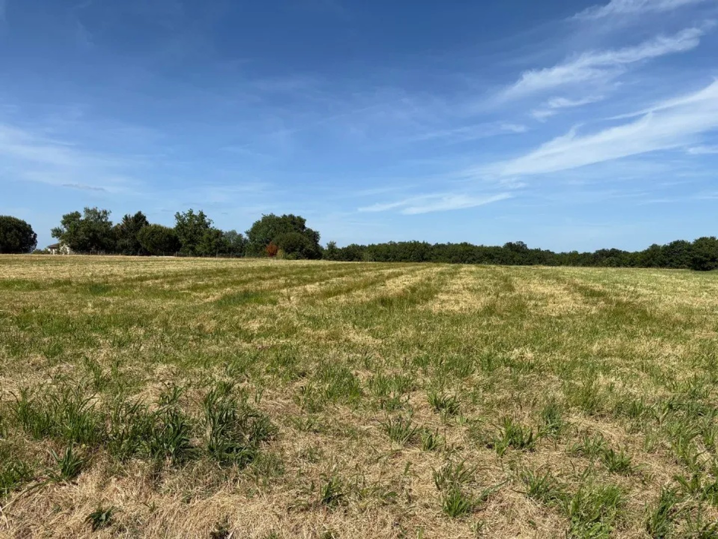 Terrain à vendre - 955m2 - Vacquiers (31340)