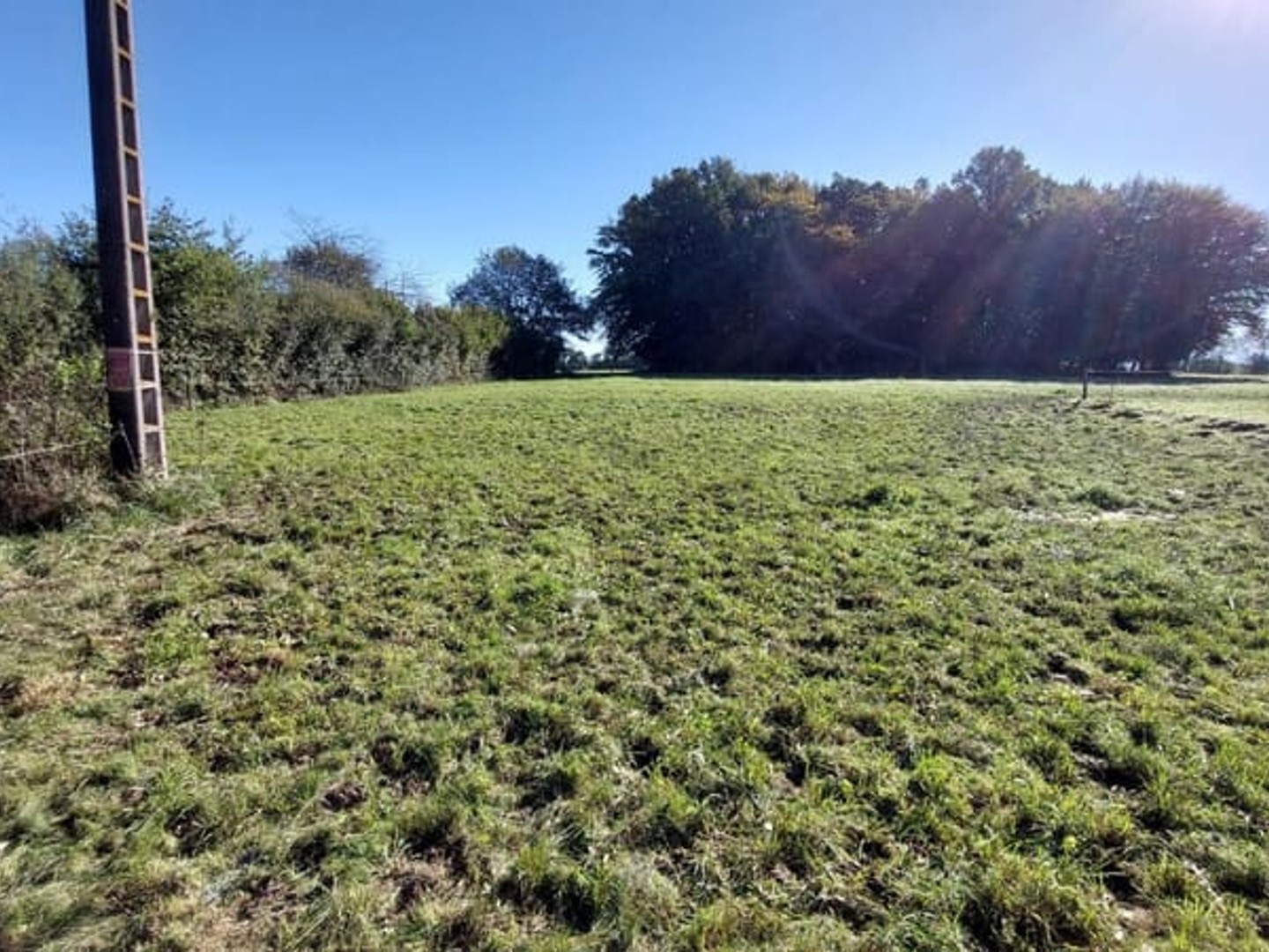 Terrain à vendre - 1100m2 - Mazères-Sur-Salat (31260)