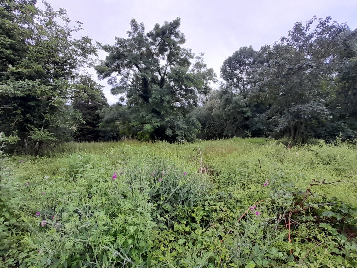 Terrain à vendre - 1182m2 - Janvry (91640)