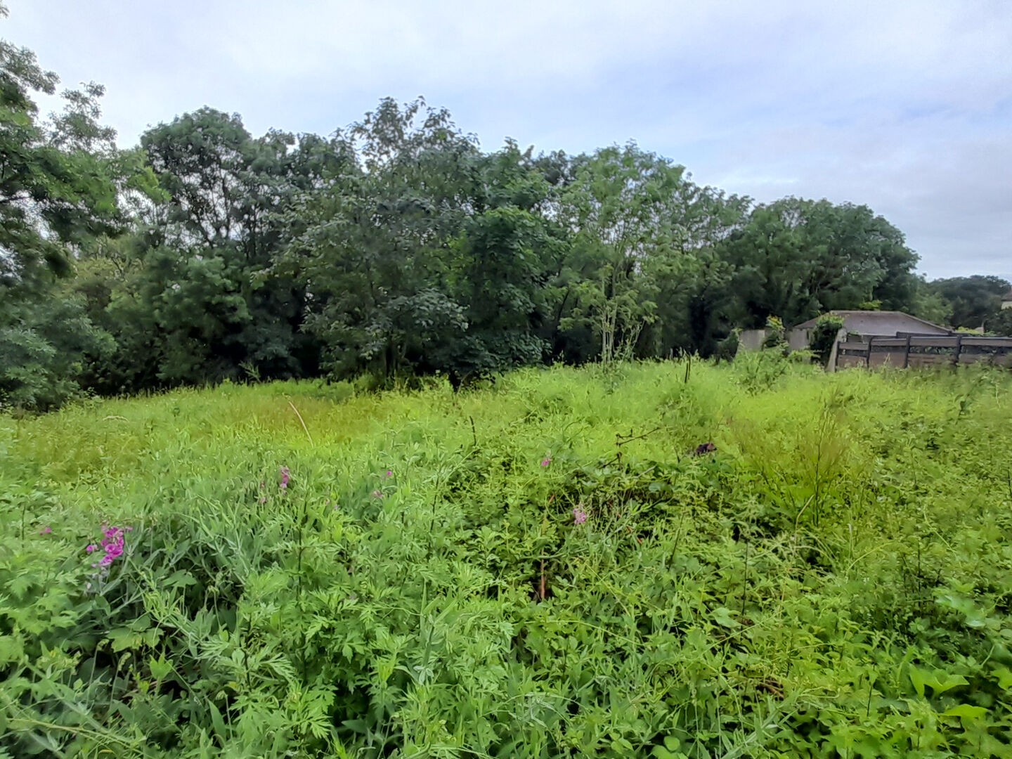 Terrain à vendre - 1182m2 - Janvry (91640)