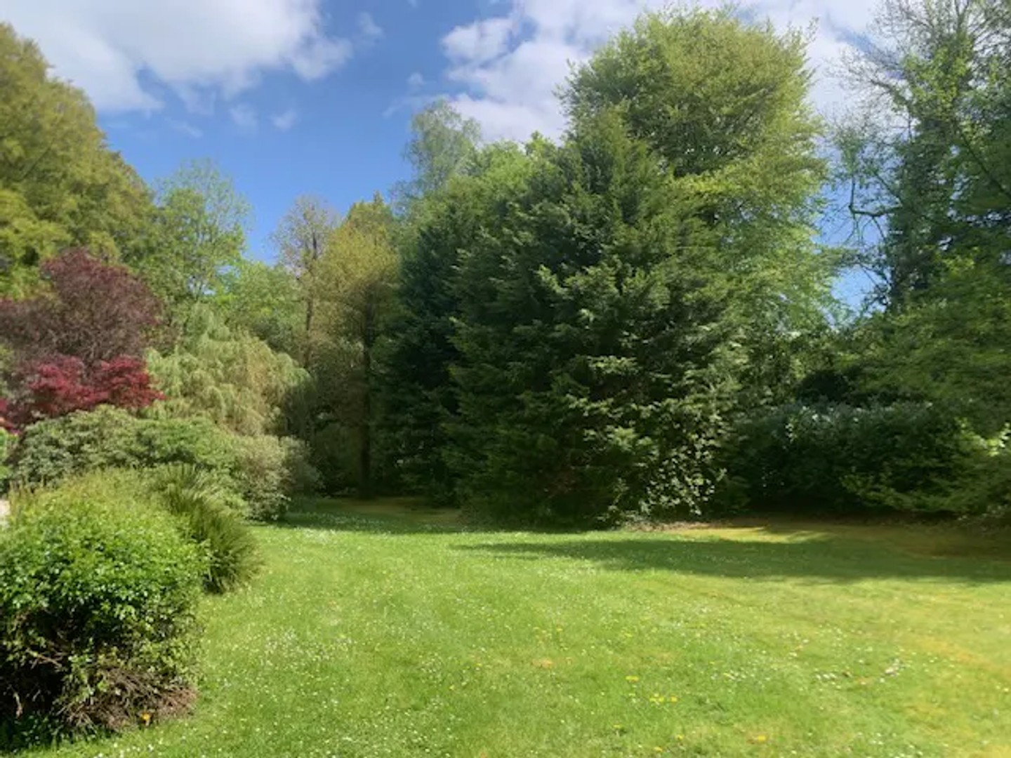 Maison à vendre - 6 pièces - 212m2 - Saint-Gatien-Des-... (14130)