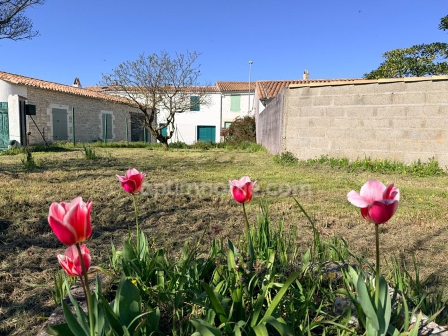 Terrain à vendre - 1294m2 - Le Bois-Plage-En-Ré (17580)