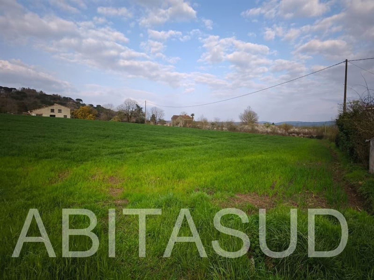 Terrain à vendre - 33553m2 - Réalmont (81120)