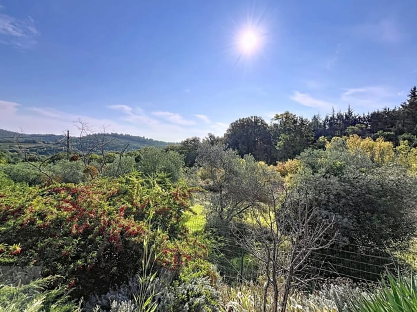 Maison à vendre - 5 pièces - 96m2 - Beaumont-De-Pertuis (84120)