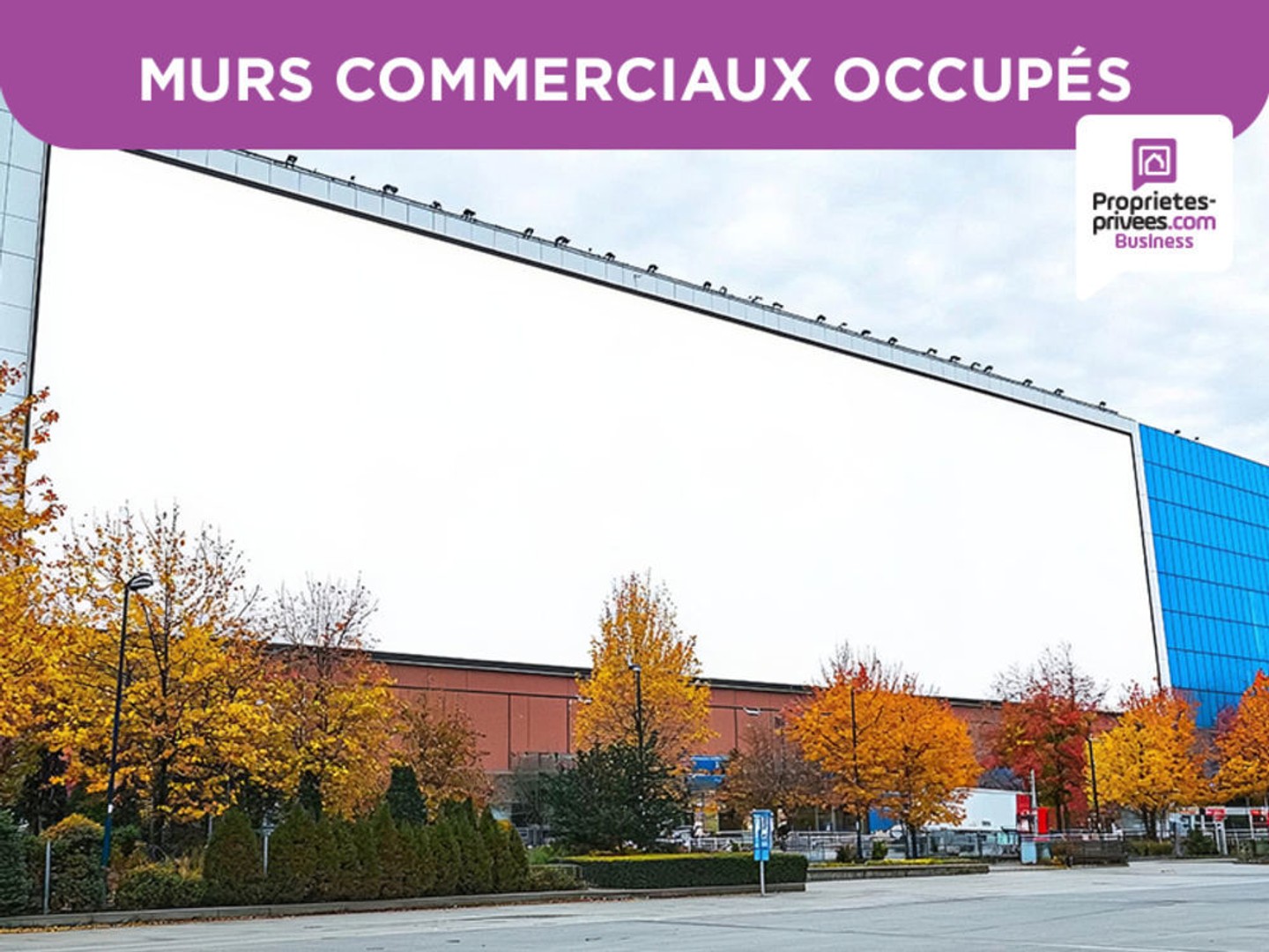 MURS LOUES, LOCAL D'ACTIVITE, 9 Bureaux + 2 Entrepôts, 50 000 HT de rentabilité annuelle