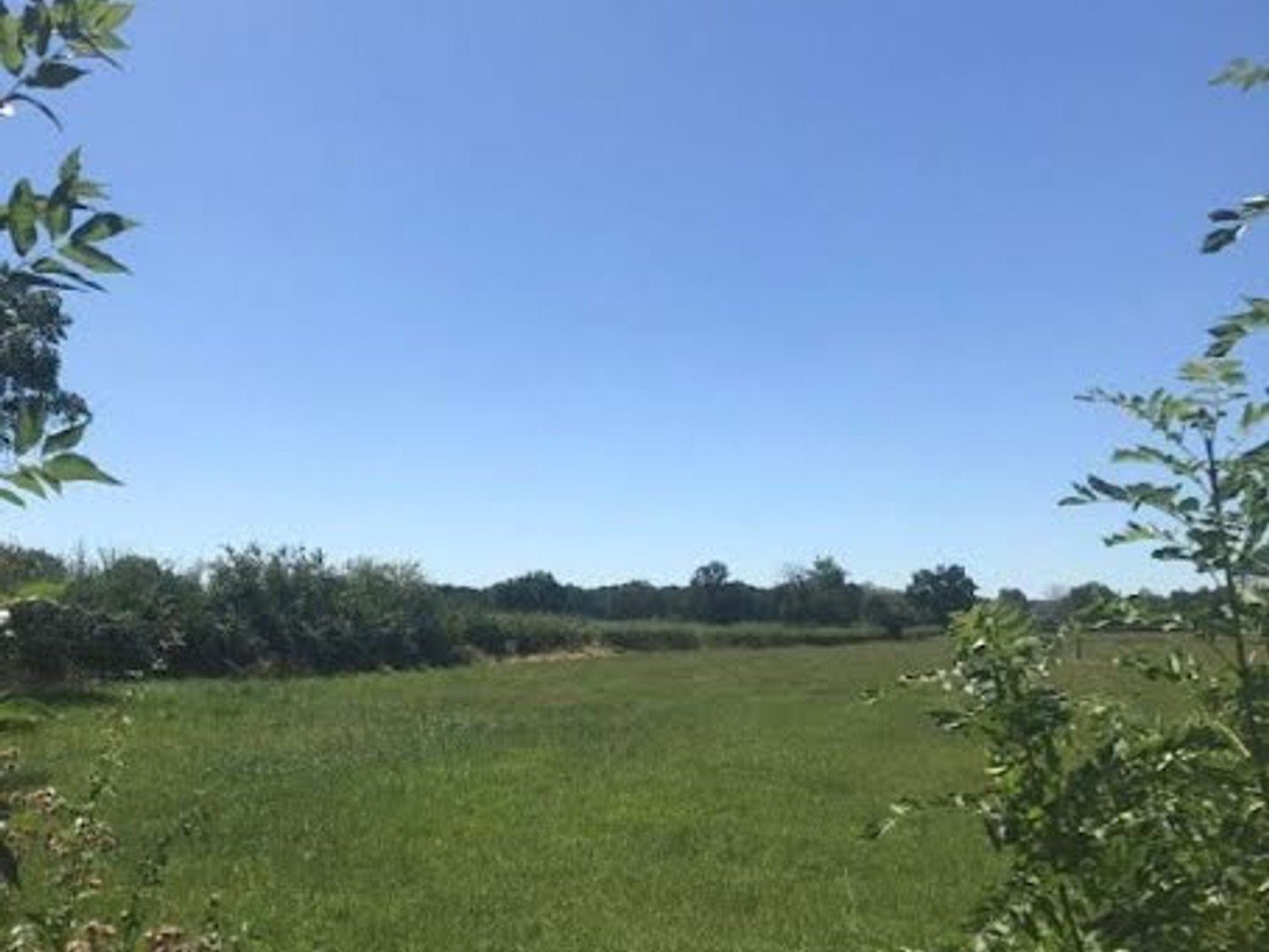 Terrain à vendre - 1500m2 - Vitry-En-Charollais (71600)