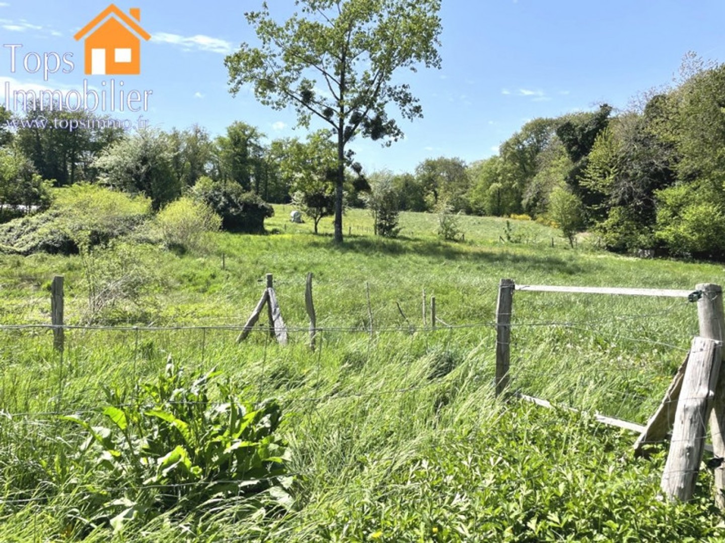 Maison à vendre - 6 pièces - 116m2 - La Salvetat-Peyralès (12440)