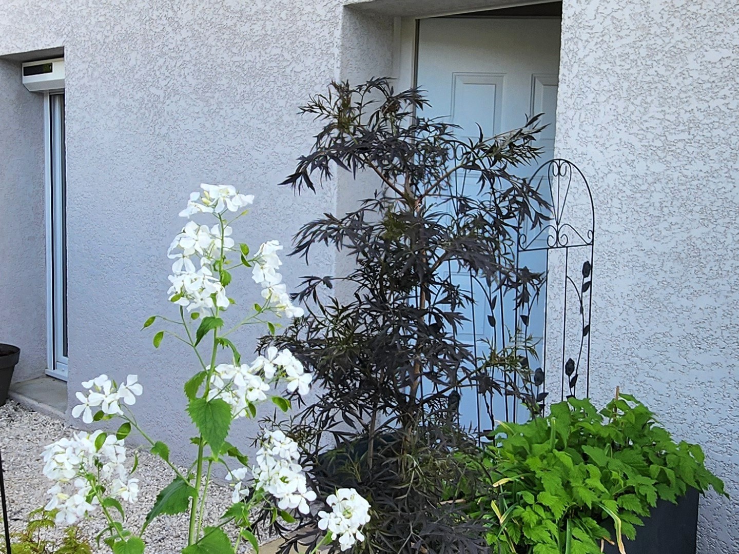 Maison à vendre - 4 pièces - 90m2 - Saint-André-La-Côte (69440)