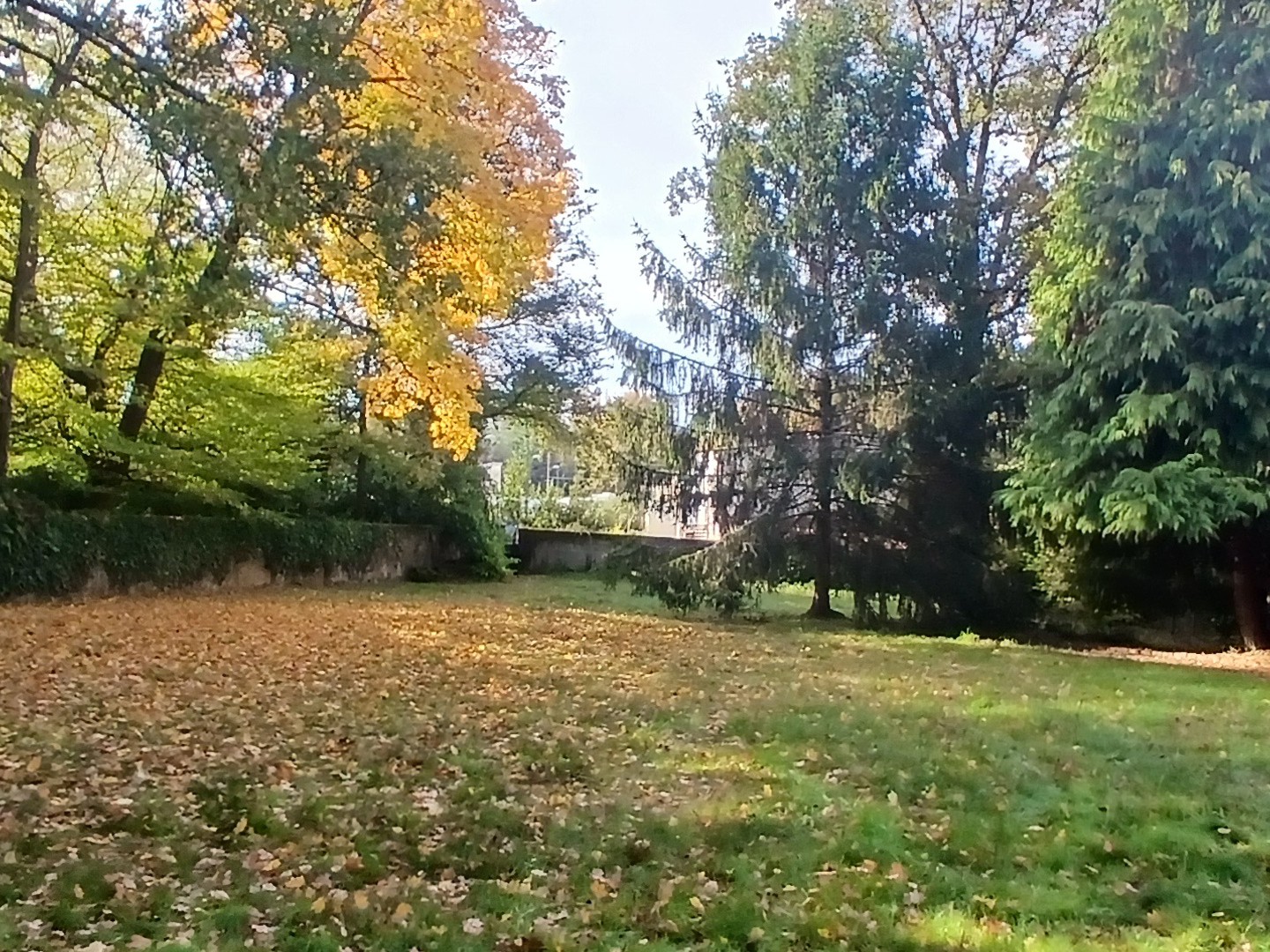 Maison 11 pièces 235 m²