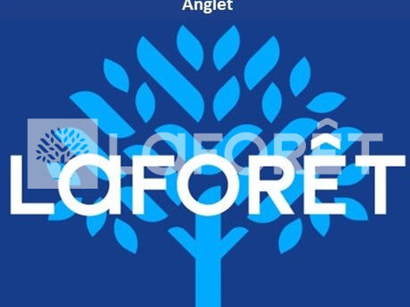 Locaux à vendre - 242m2 - Anglet (64600)