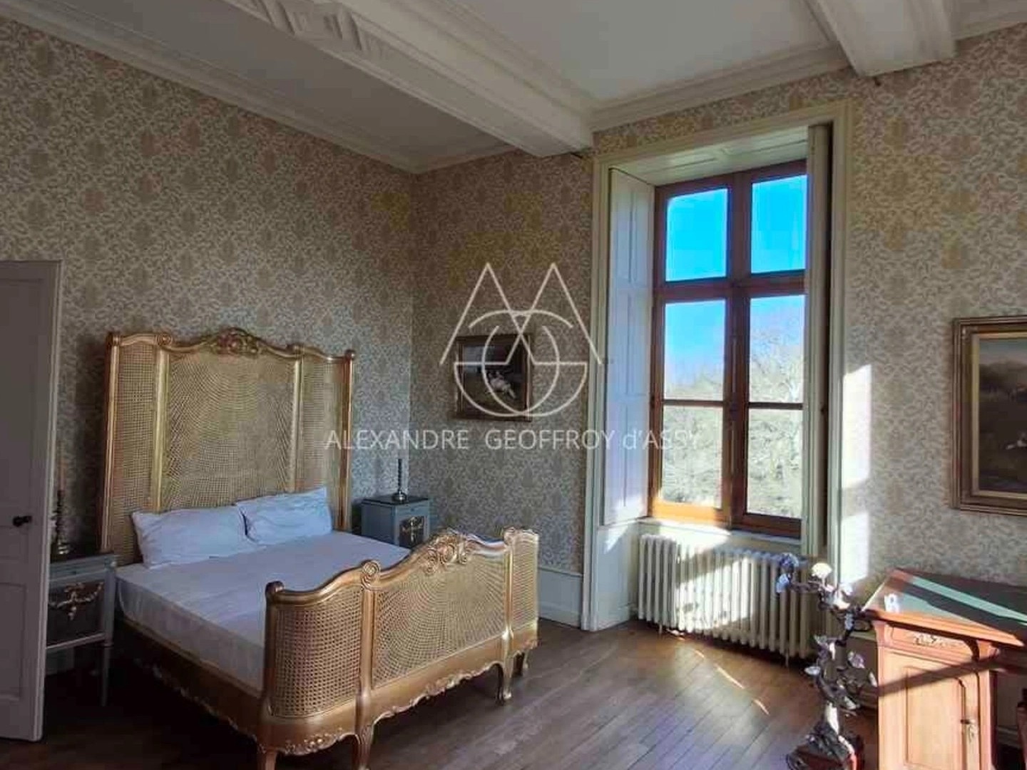 Maison à vendre - 20 pièces - 700m2 - Château-Gontier-S... (53200)