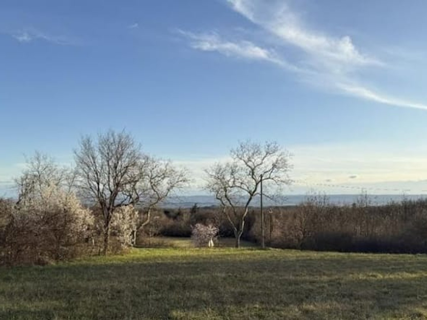 Maison à vendre - 4 pièces - 100m2 - Labécède-Lauragais (11400)
