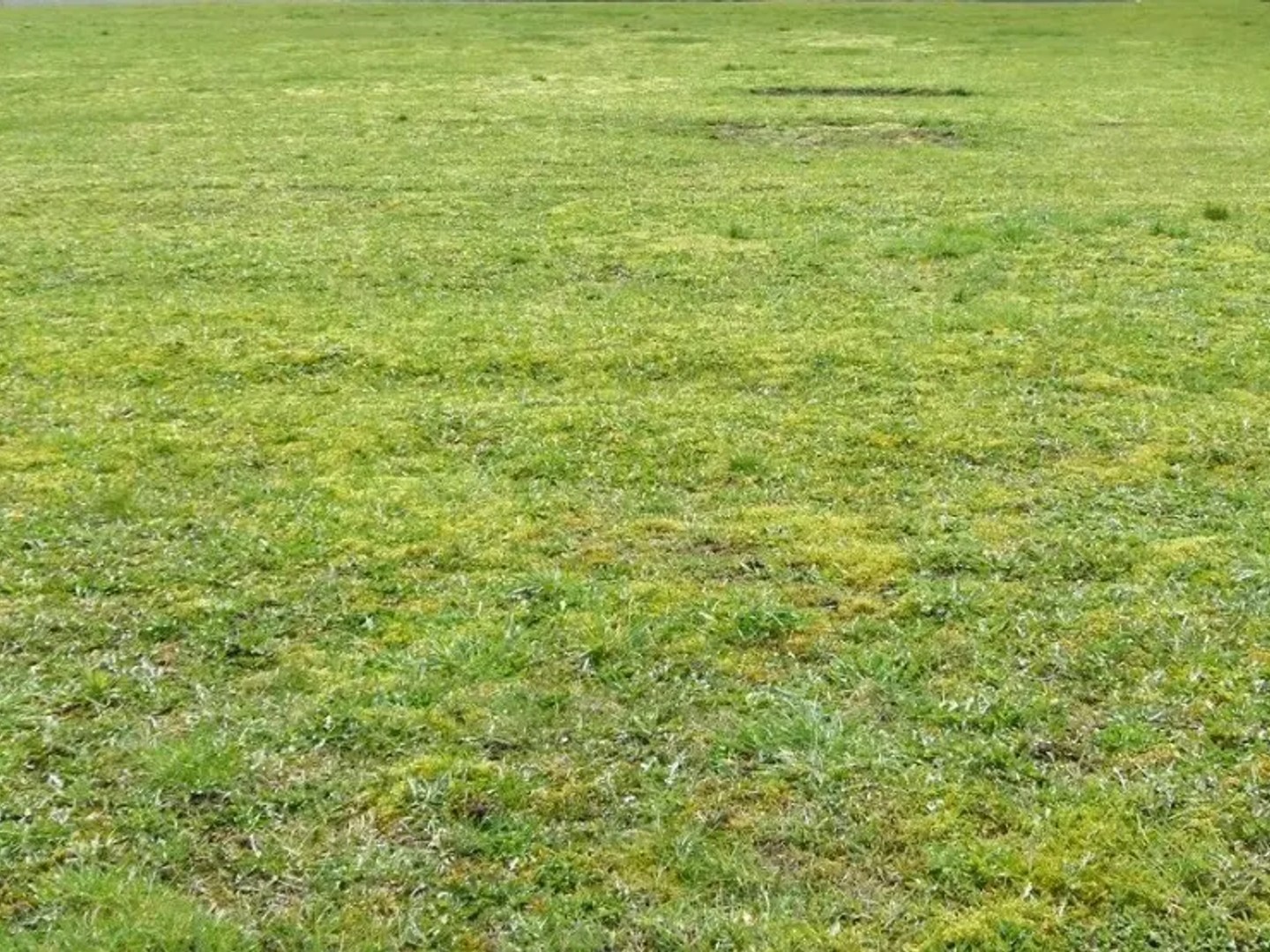 Terrain à vendre - 760m2 - Nécy (61160)