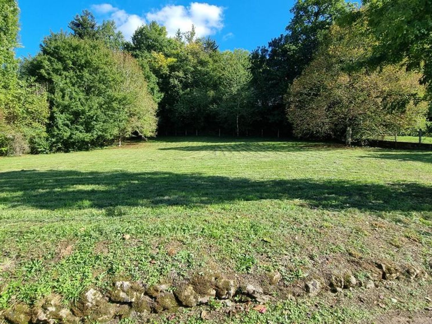 Terrain à vendre - Saint-Pardoux-La-... (24470)