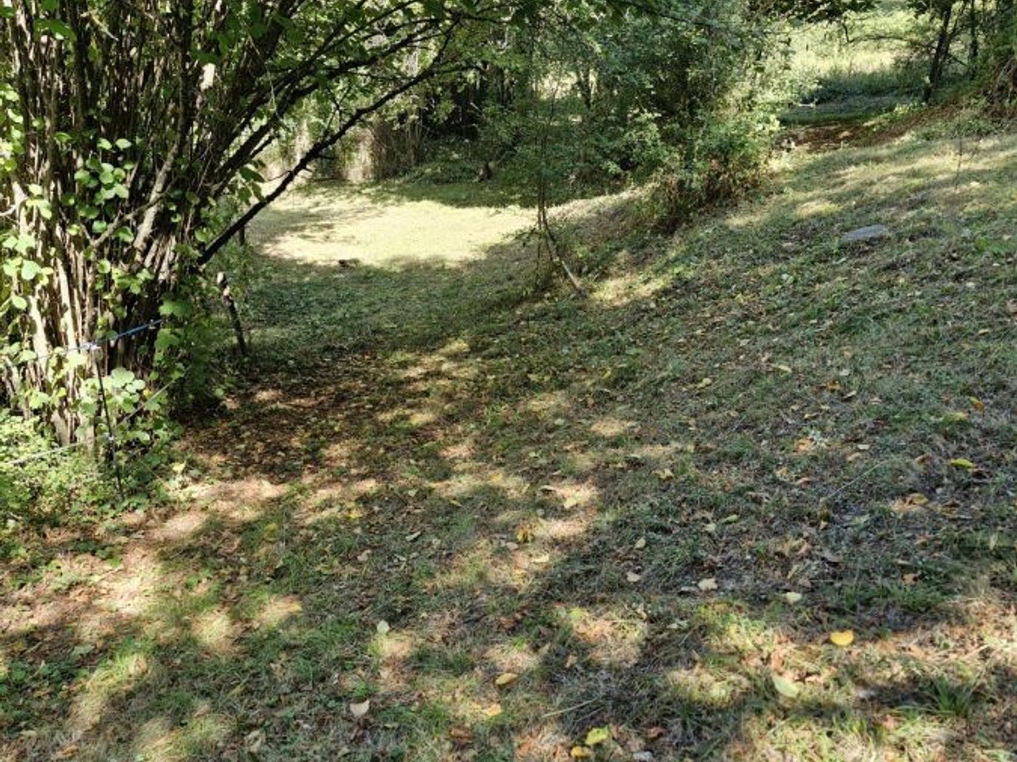 Terrain à vendre - 3001m2 - Les Cabannes (09310)