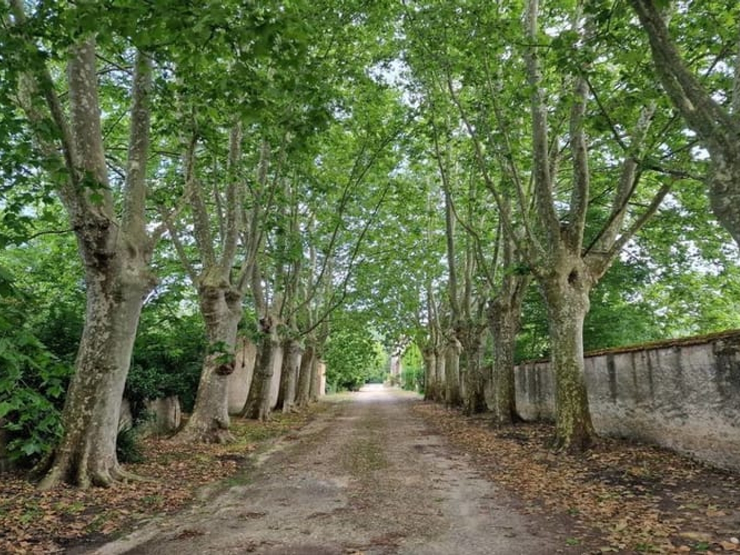Maison à vendre - 840m2 - Carcassonne (11000)