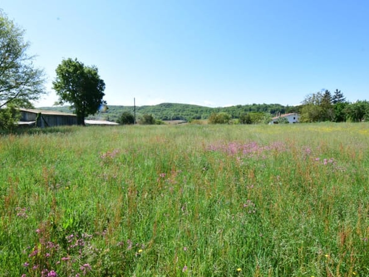 Terrain à vendre - 2446m2 - Aulon (31420)