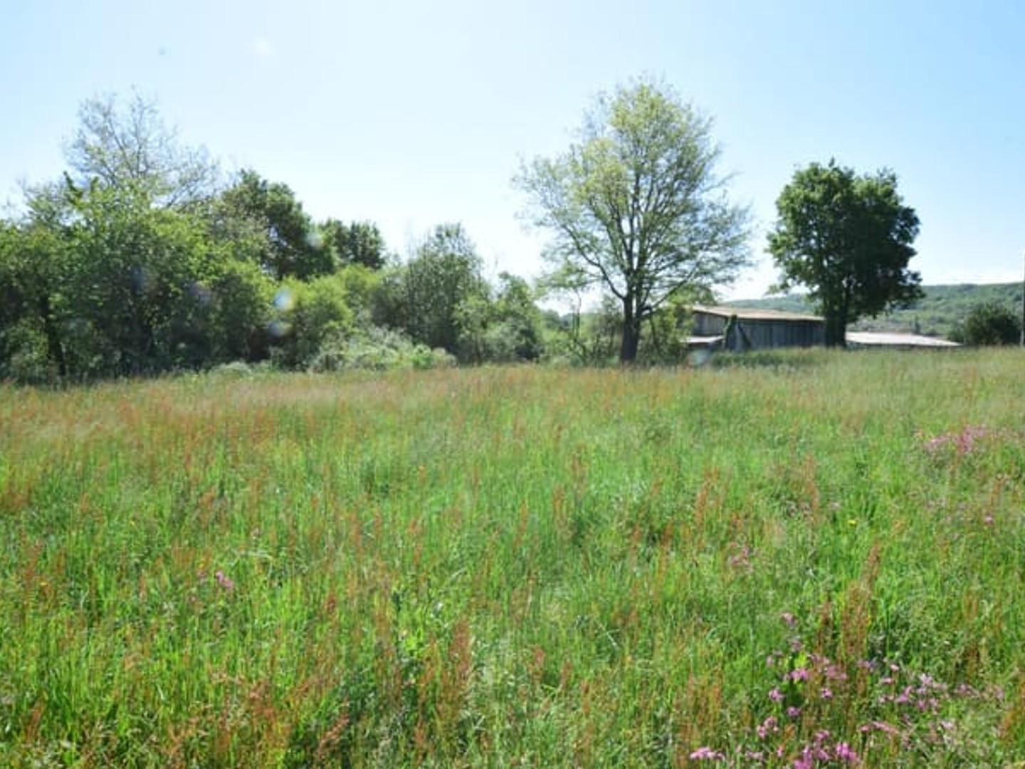 Terrain à vendre - 2446m2 - Aulon (31420)