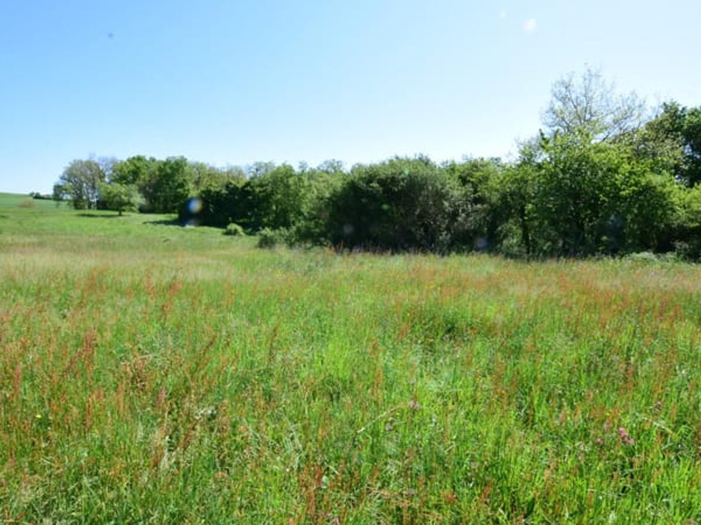 Terrain à vendre - 2446m2 - Aulon (31420)