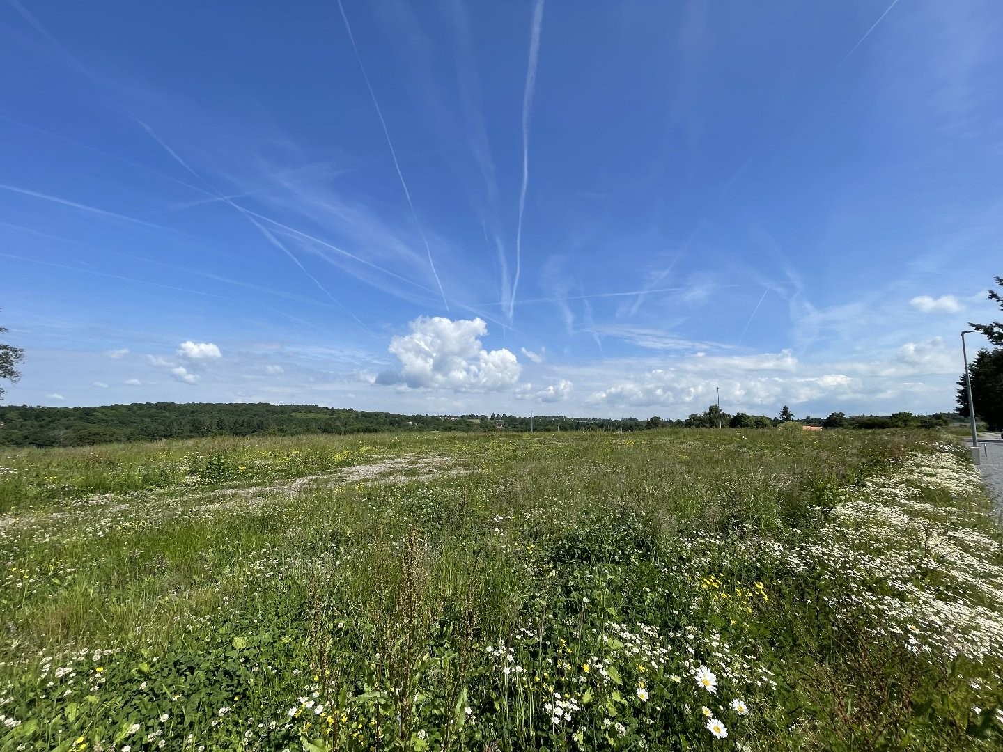 Terrain à vendre - 1213m2 - Feytiat (87220)