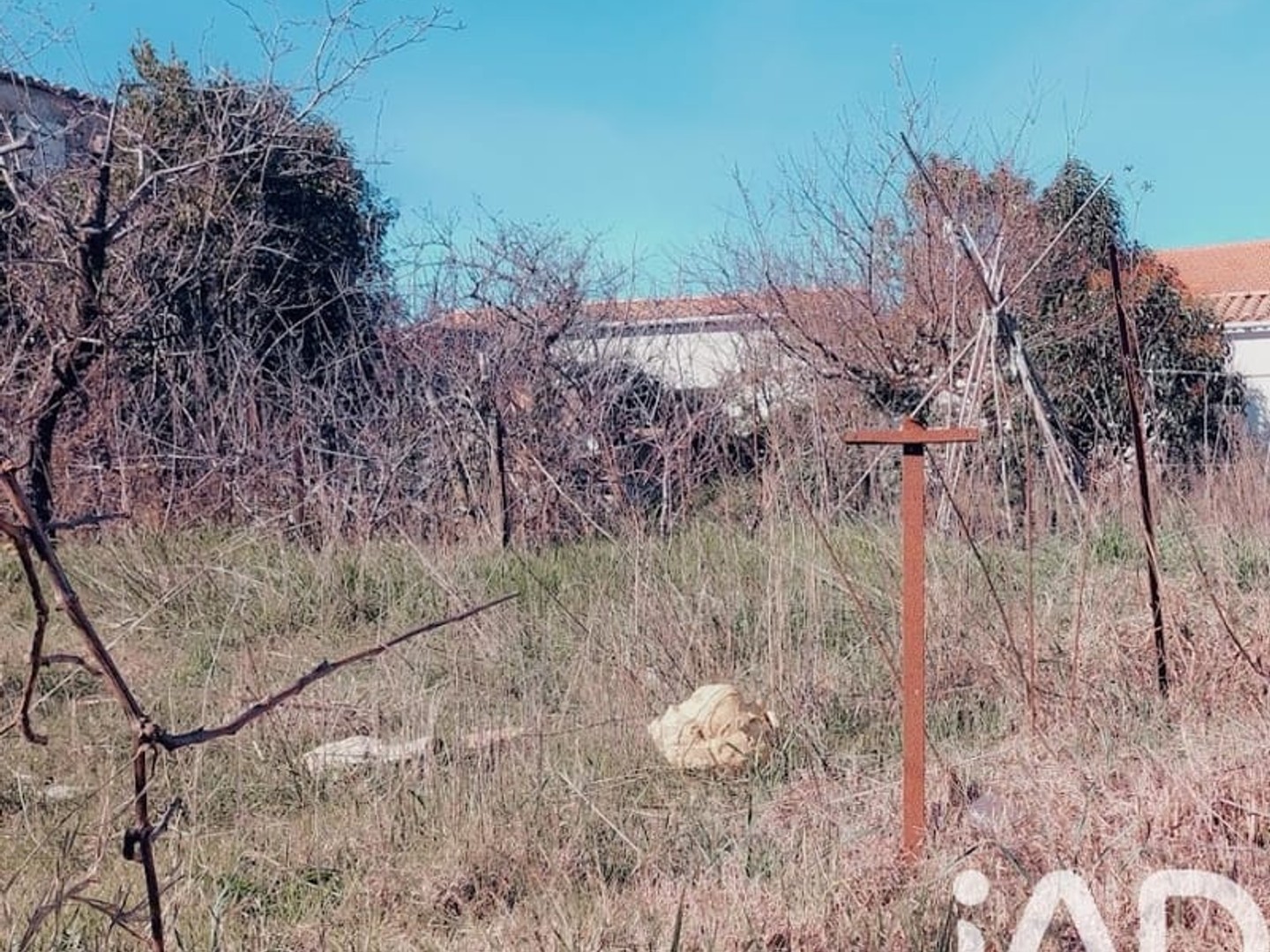 Terrain à vendre - 545m2 - Générac (30510)