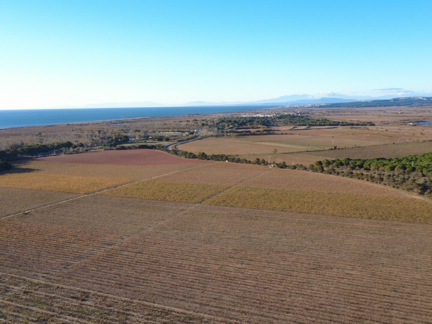 Domaine viticole et touristique d'exception dans l'Hérault