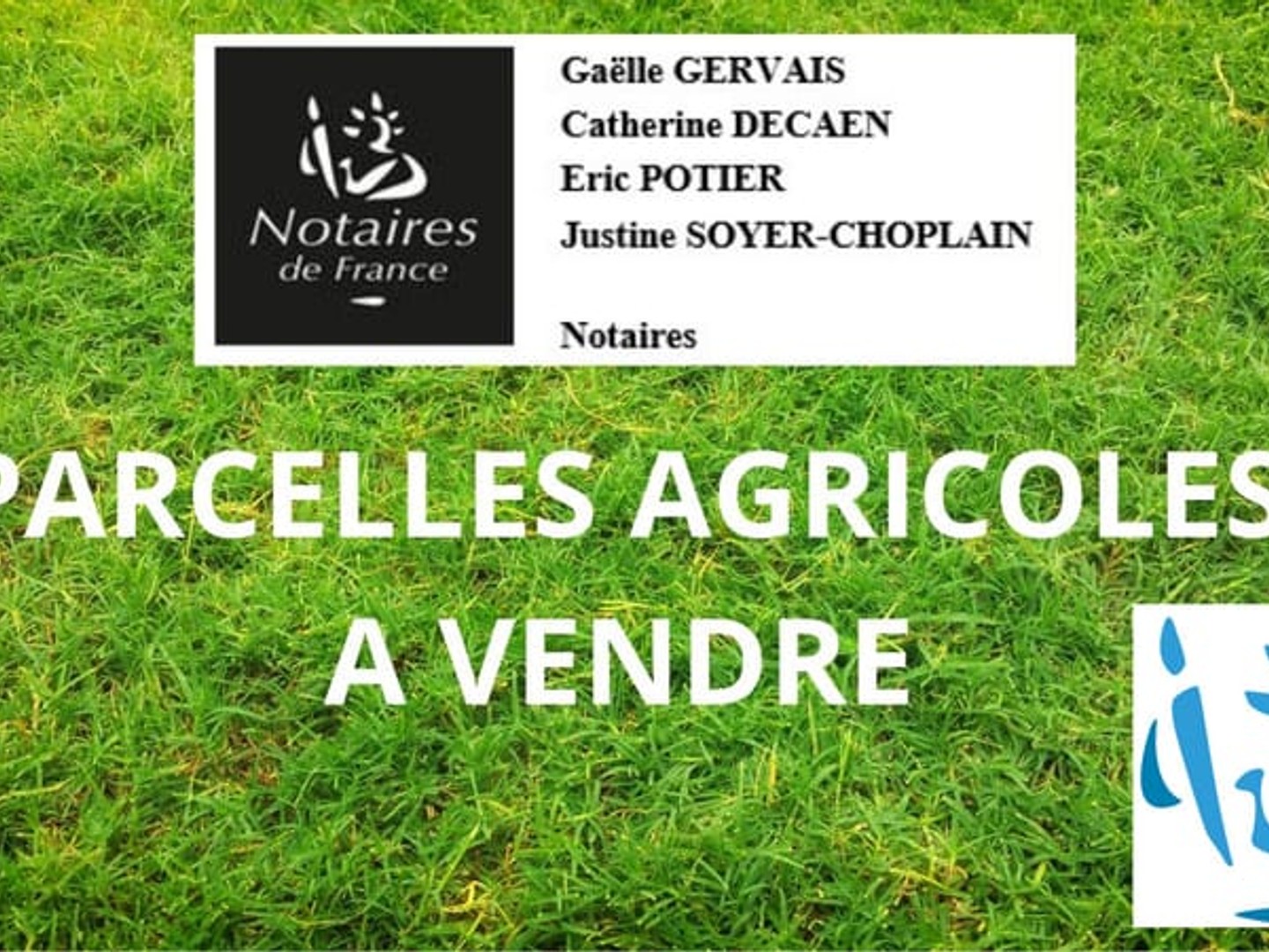 Terrain à vendre - Soligny-La-Trappe (61380)