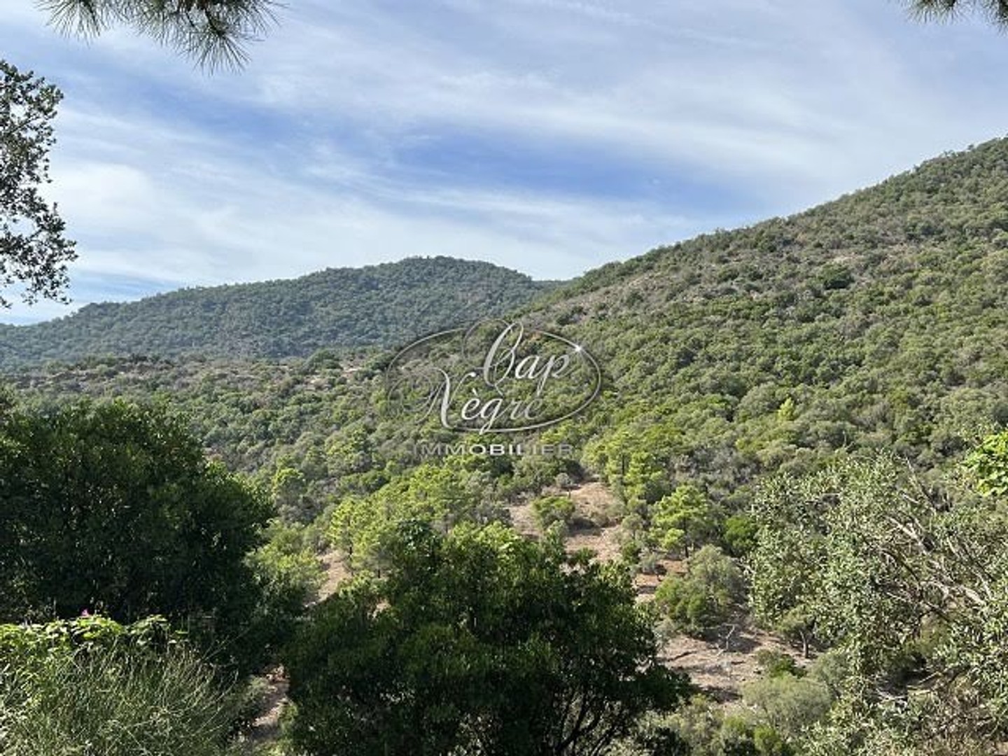 Terrain 76274 m²