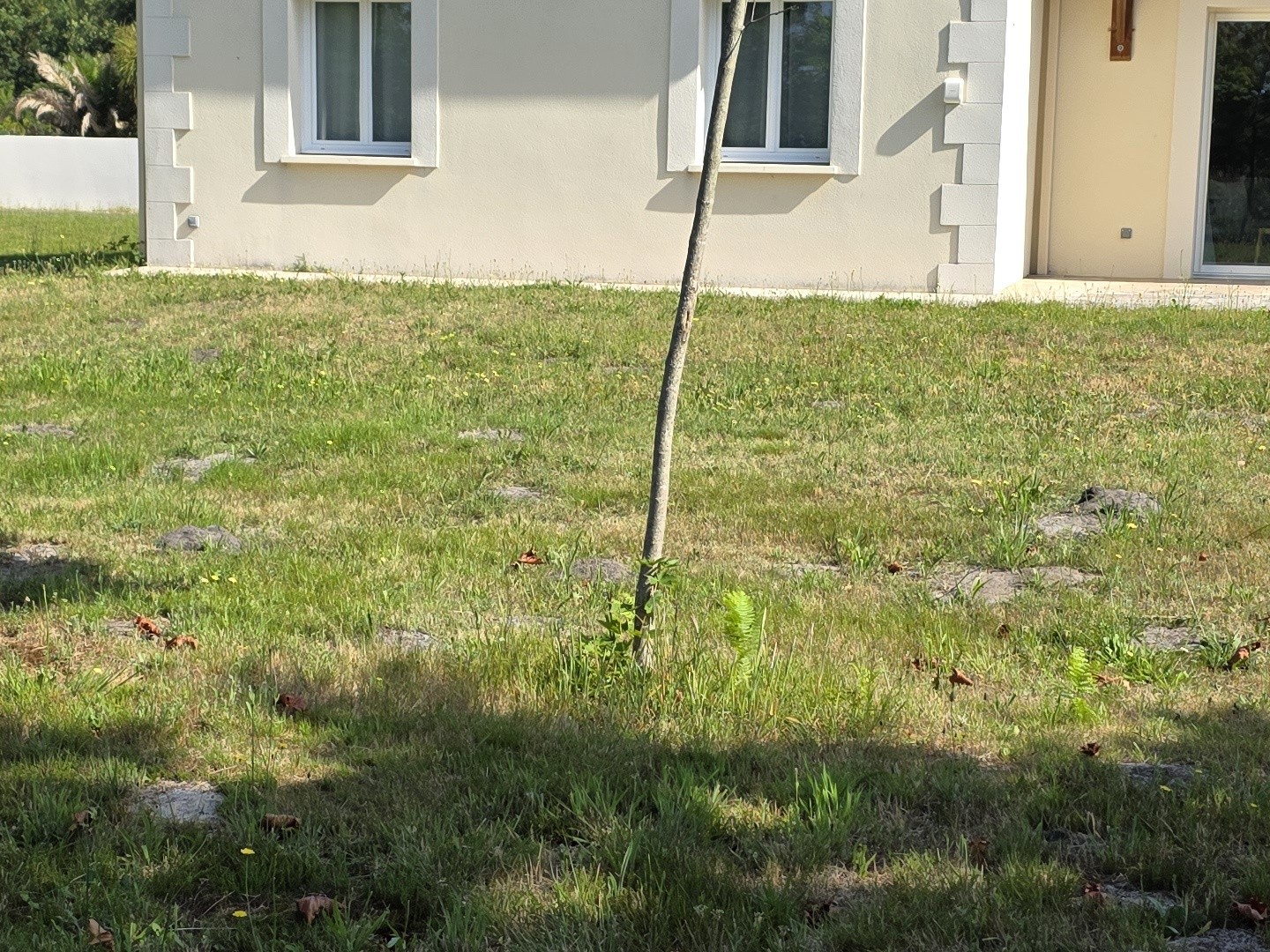 Maison à vendre - 6 pièces - 139m2 - Biscarrosse (40600)