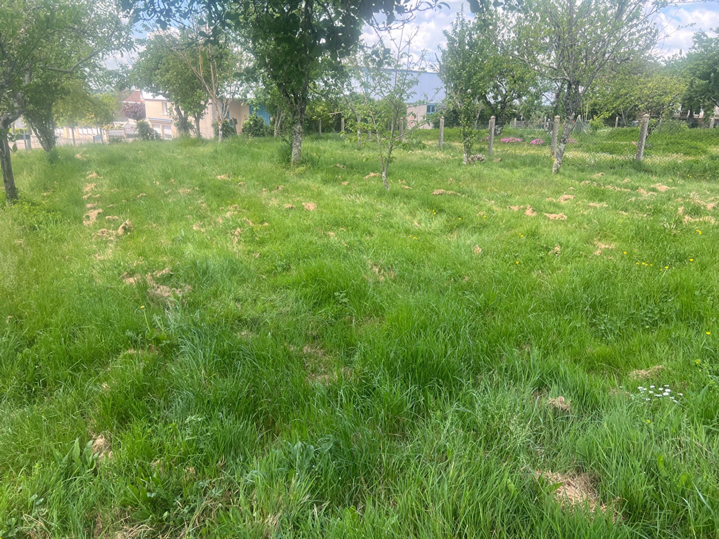 Terrain à vendre - 911m2 - Saillat-Sur-Vienne (87720)