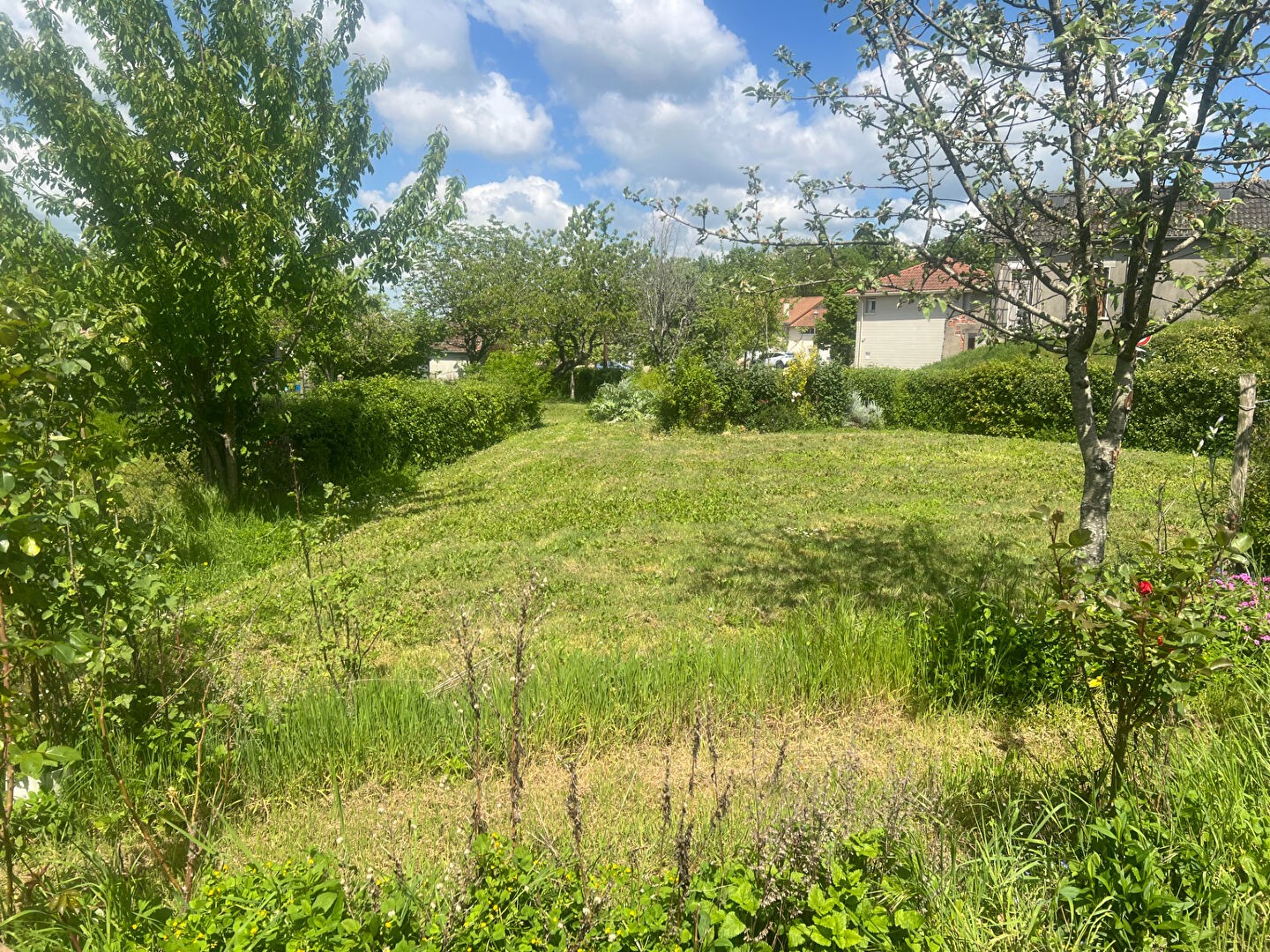 Terrain à vendre - 911m2 - Saillat-Sur-Vienne (87720)