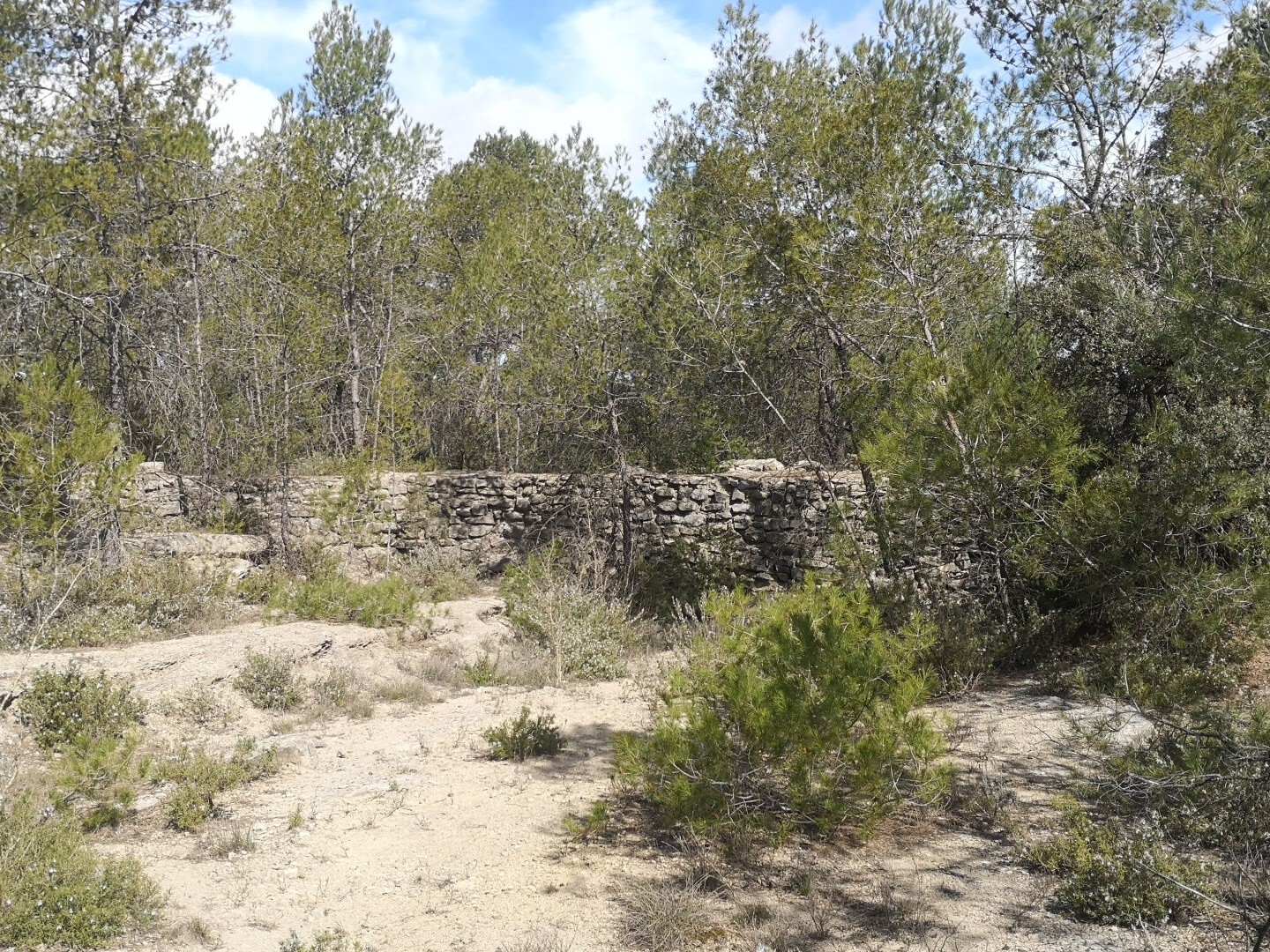 Terrain à vendre - 36000m2 - Vacquières (34270)