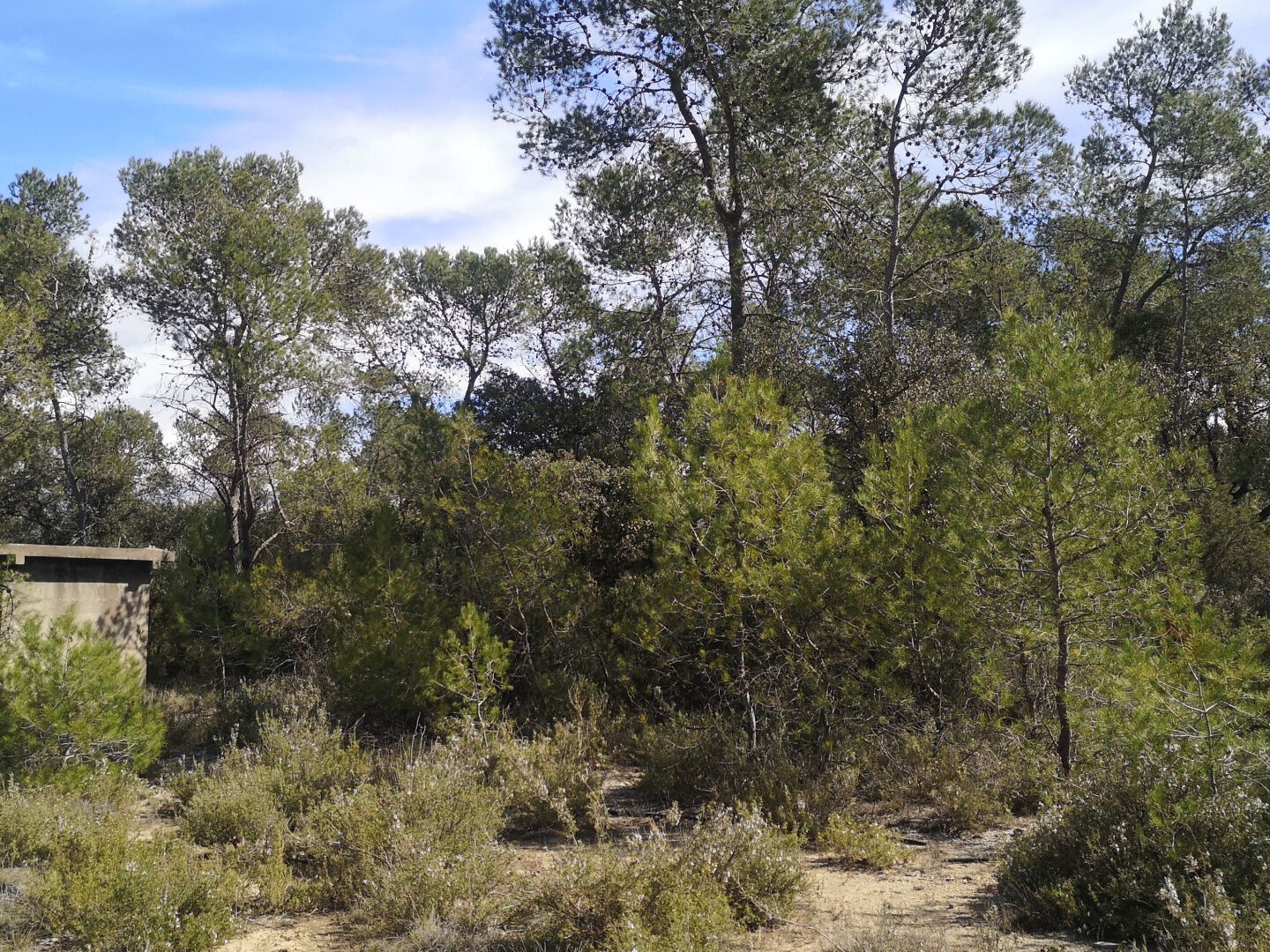 Terrain à vendre - 36000m2 - Vacquières (34270)