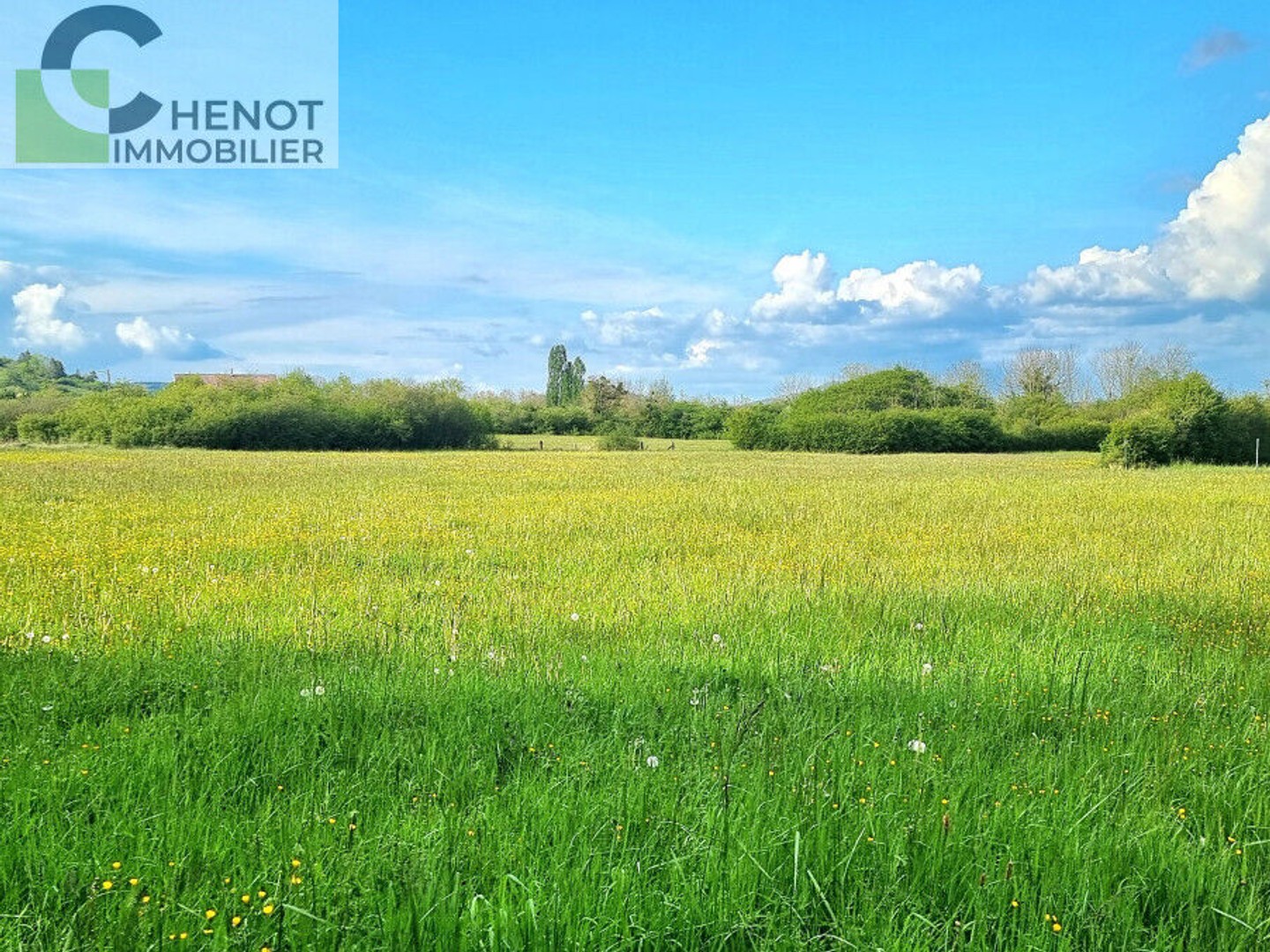 Terrain à vendre - 20000m2 - Domgermain (54119)