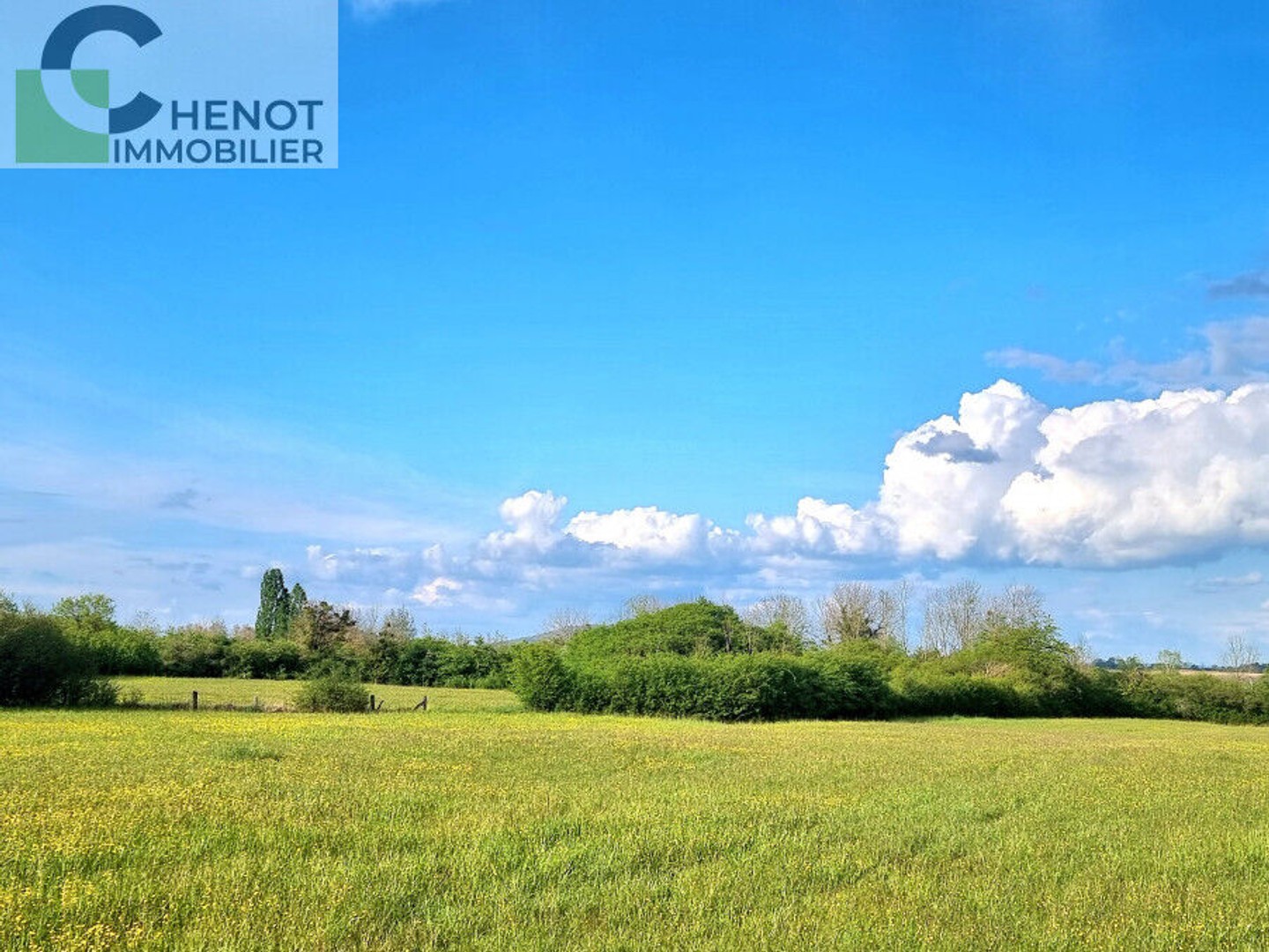 Terrain à vendre - 20000m2 - Domgermain (54119)