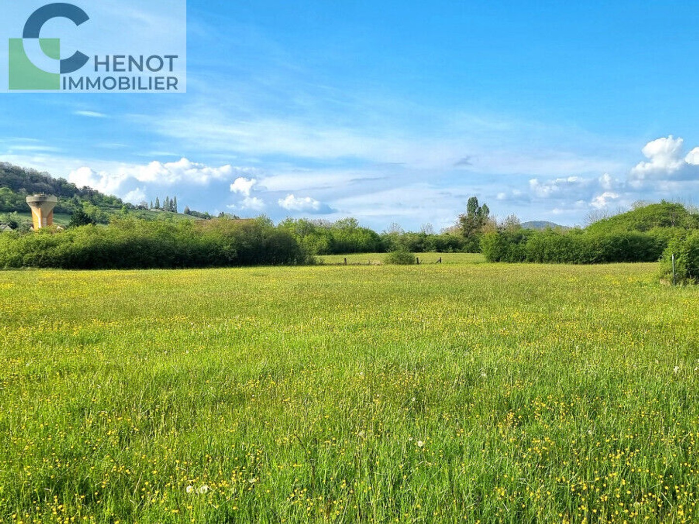 Terrain à vendre - 20000m2 - Domgermain (54119)