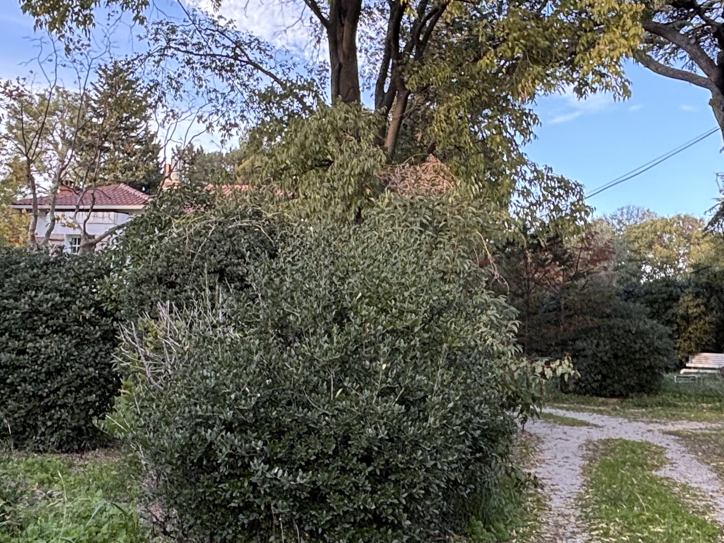Maison 5 pièces 240 m²