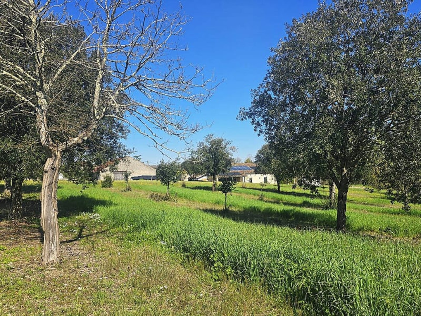 Maison à vendre - 6 pièces - 173m2 - Lacaussade (47150)