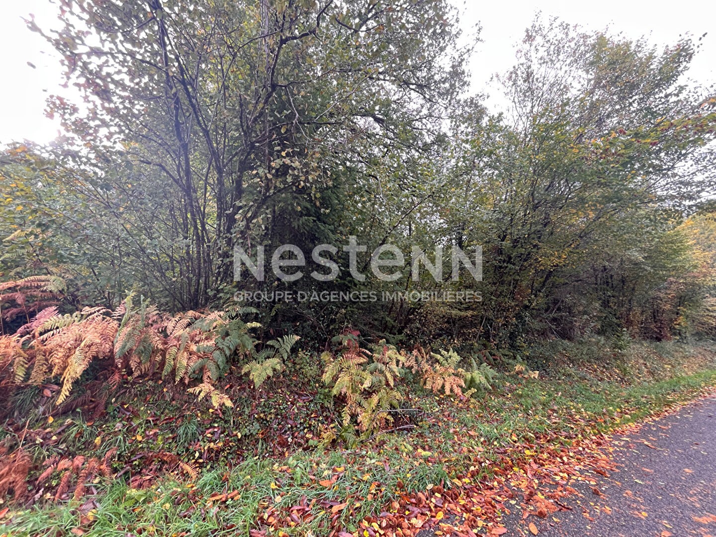 Terrain à vendre - 2480m2 - Seilhac (19700)