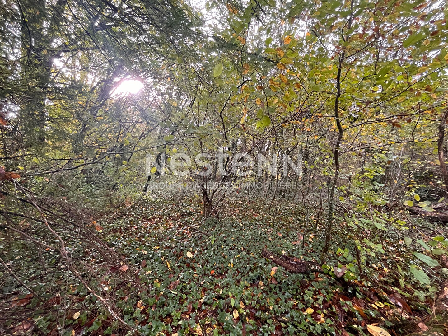 Terrain à vendre - 2480m2 - Seilhac (19700)