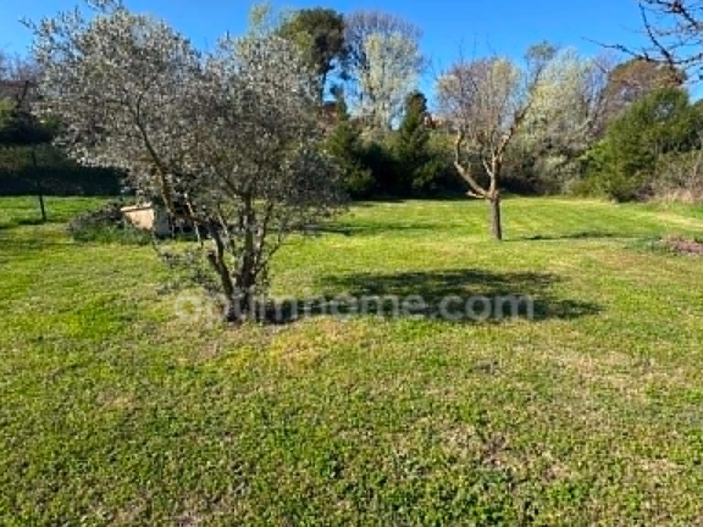 Maison à vendre - 4 pièces - 135m2 - Saint-Rémy-De-Pro... (13210)