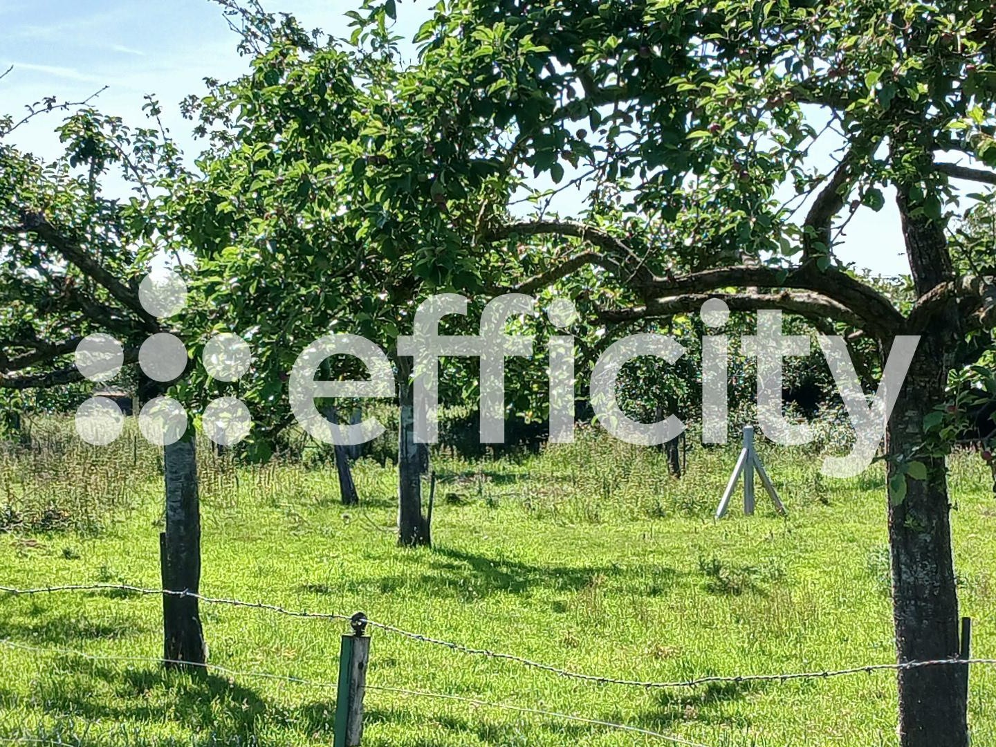 Terrain à vendre - 2500m2 - Basseneville (14670)